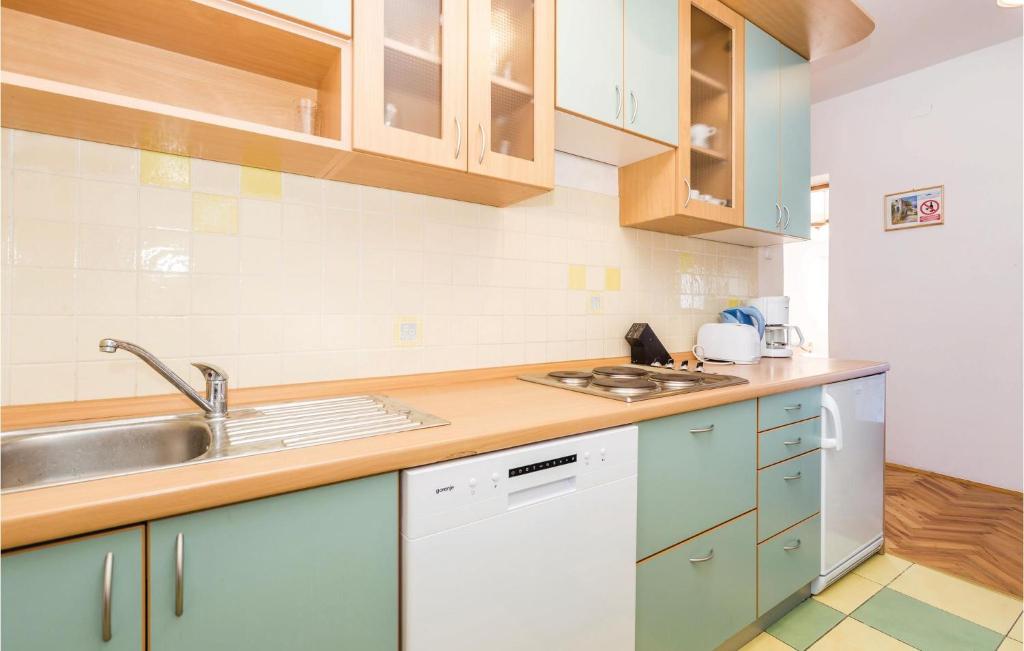 Cuisine ou kitchenette dans l&#39;&eacute;tablissement Gorgeous Apartment In Senj With Kitchen