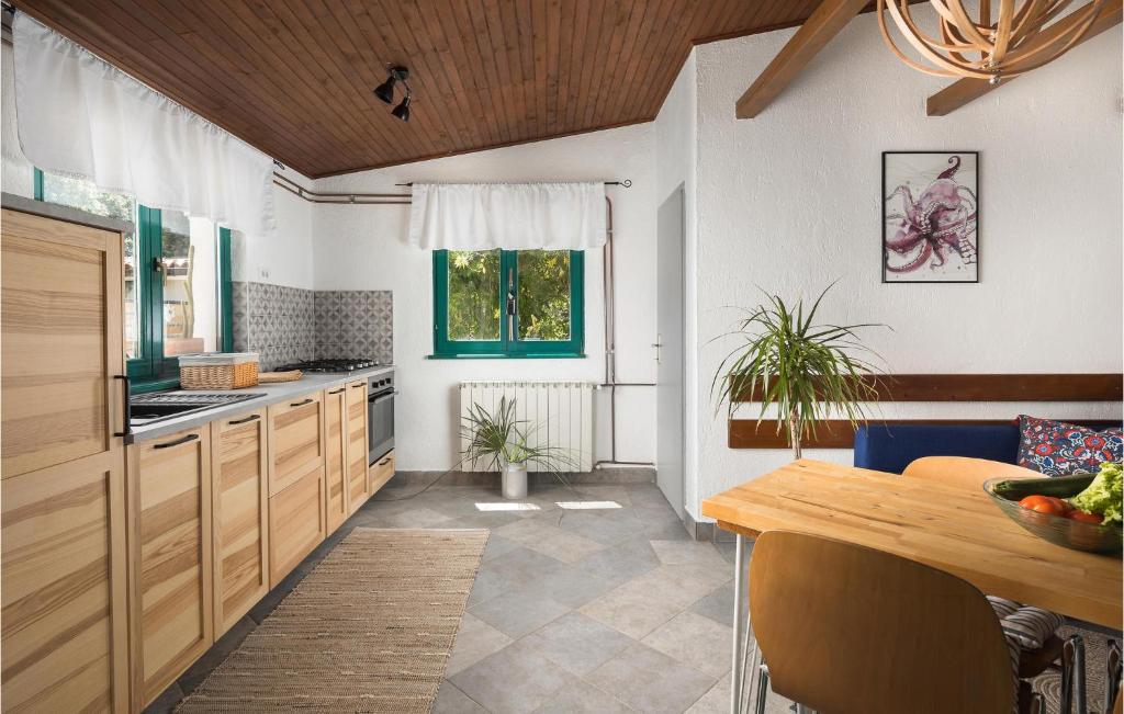 Kuchyň nebo kuchyňský kout v ubytování Holiday Home Medulin 12