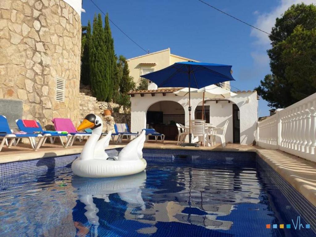 dois cisnes na água numa piscina em VH CostaBlanca - RULLE em Benissa