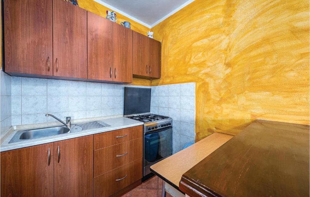 Kuchyň nebo kuchyňský kout v ubytování Holiday Home Hrboki V