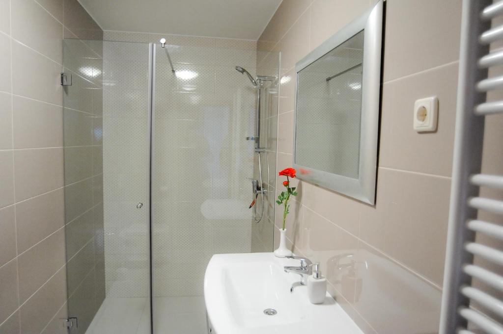 Kúpeľňa v ubytovaní Villa Gravic 2