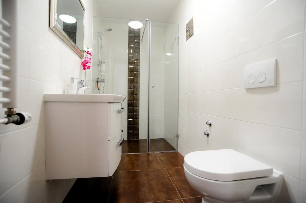 Kúpeľňa v ubytovaní Villa Gravic 2