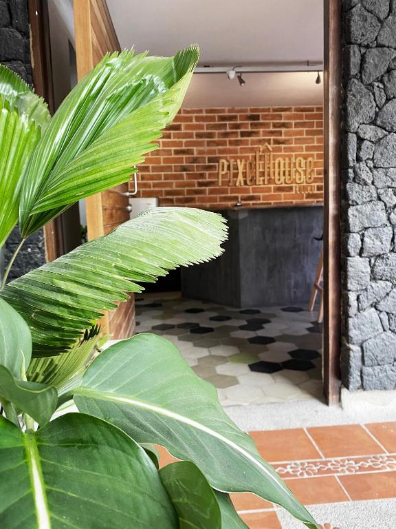 Foto sihtkohas Medellín asuva majutusasutuse Ayenda 1224 Pixel House galeriist