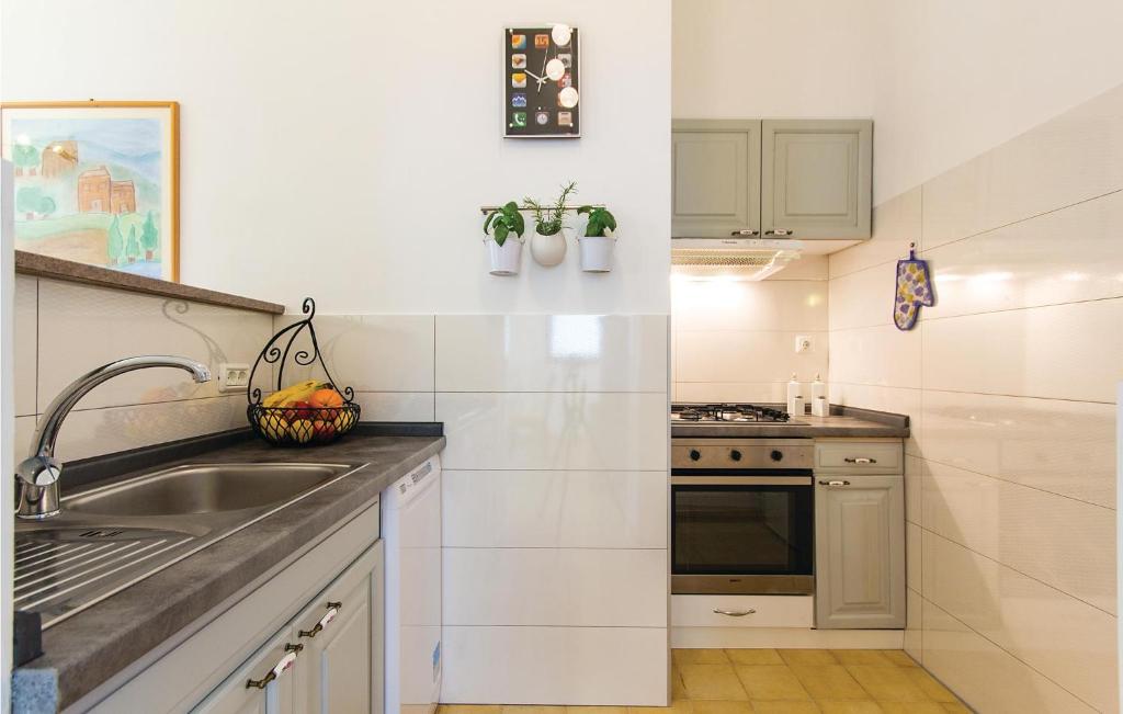 Kuchyň nebo kuchyňský kout v ubytování Apartment Sad Ii