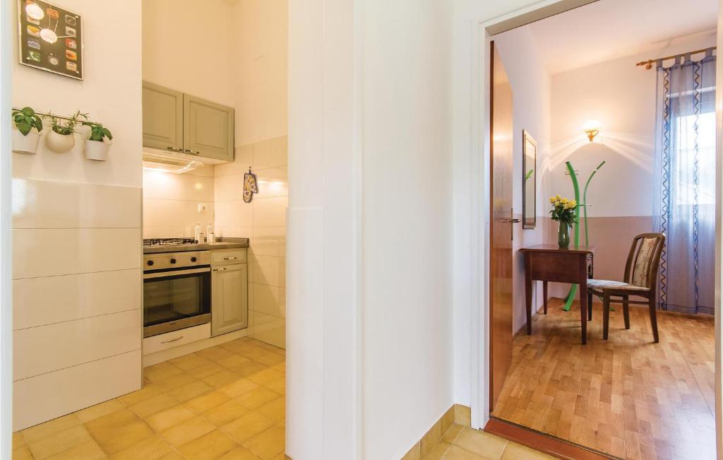 Kuchyň nebo kuchyňský kout v ubytování Apartment Sad Ii