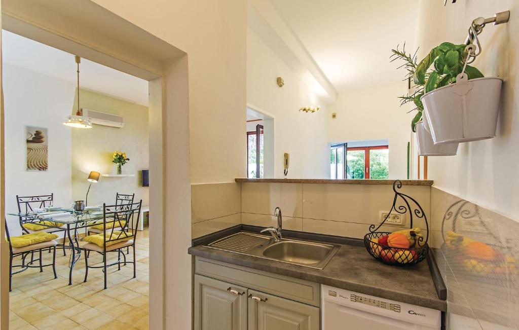 Kuchyň nebo kuchyňský kout v ubytování Apartment Sad Ii