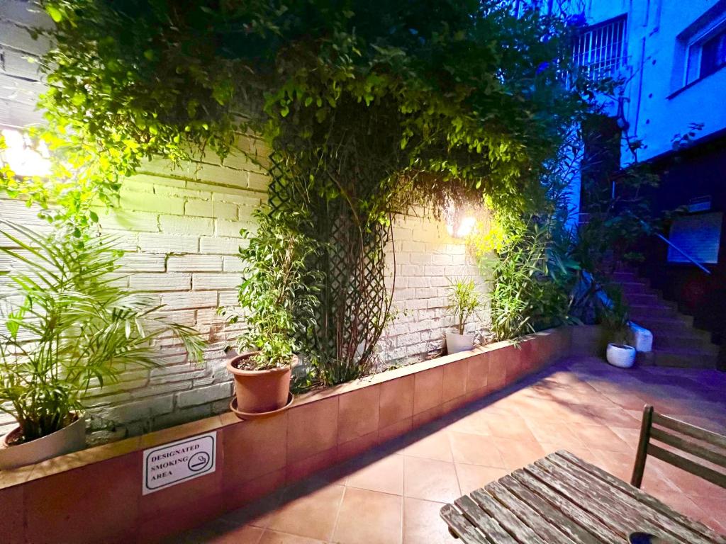 Vonkajšia záhrada v ubytovaní Comfortable renovated flat, WiFi!