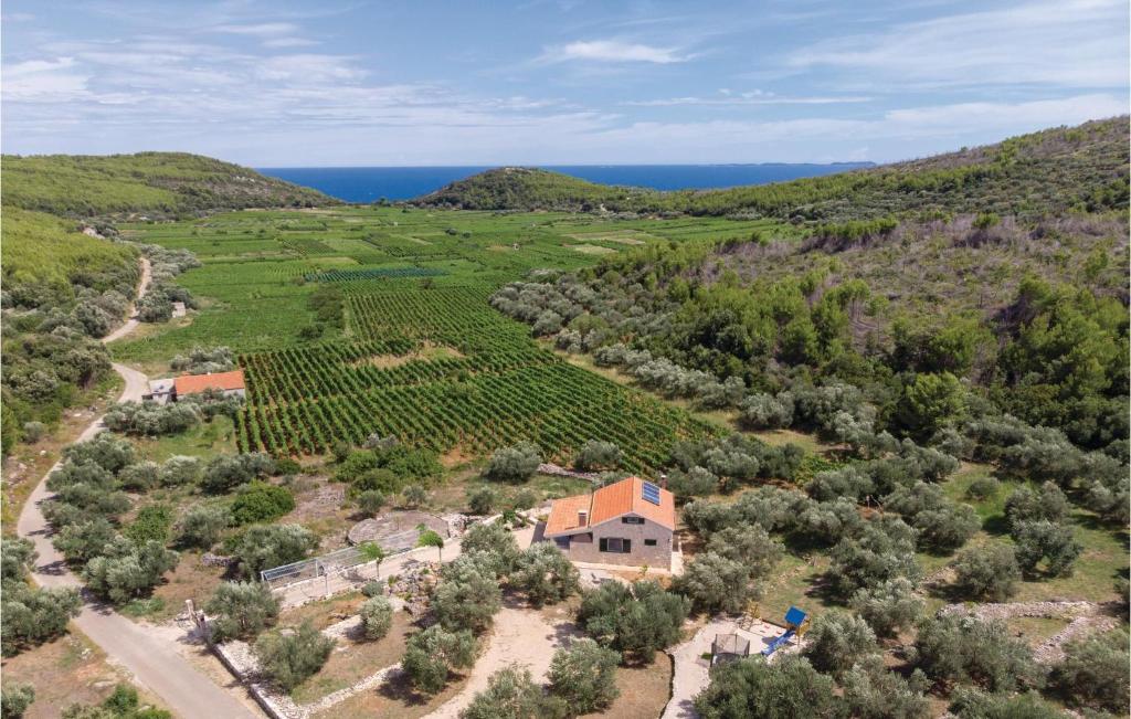 an aerial view of a house in a vineyard at Beautiful Home In Smokvica With 2 Bedrooms in Smokvica