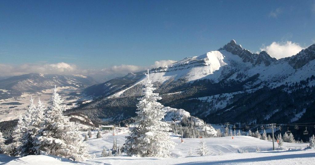 une montagne enneigée avec des arbres enneigés sur une piste de ski dans l'établissement Résidence Croix Margot, à Villard-de-Lans