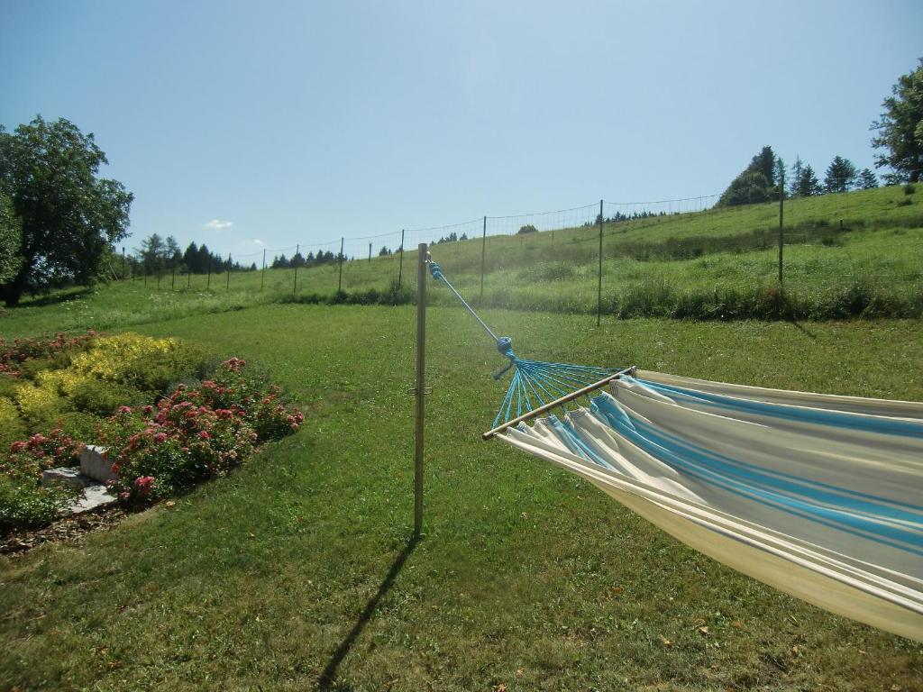 Zahrada ubytování Ferienwohnungen Jodlbauerhof