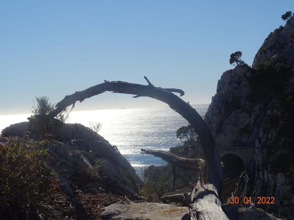 Les Ecrins d'Aix-en-Provence - 19