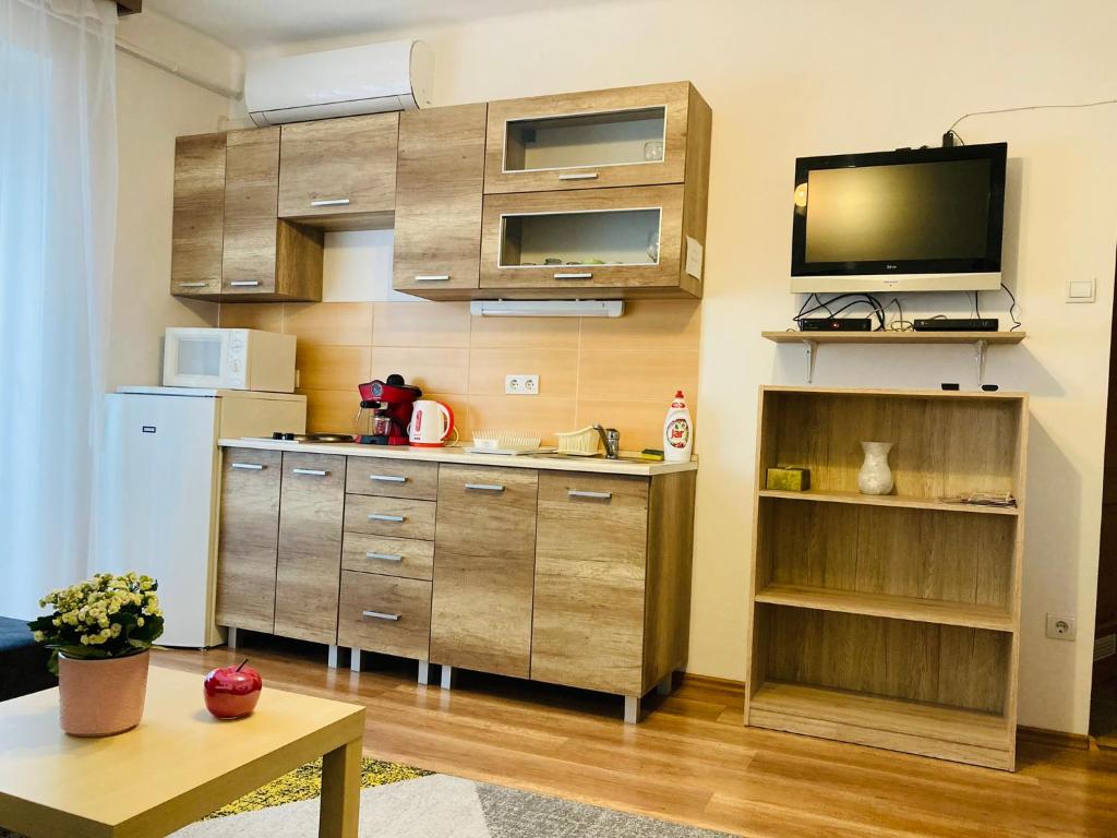 Kuchyňa alebo kuchynka v ubytovaní Origo Apartman