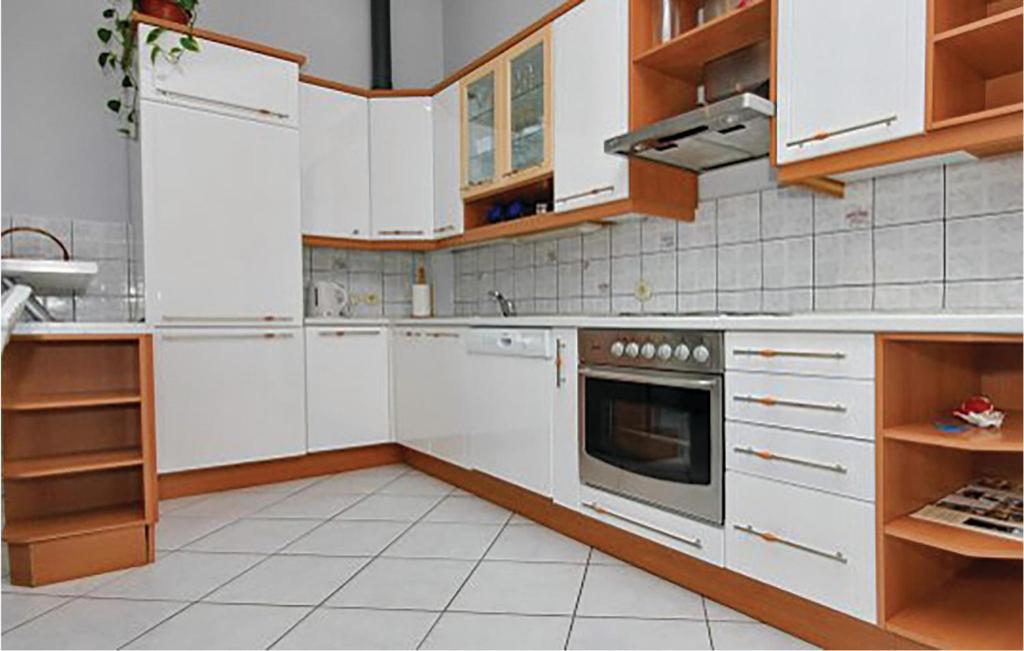 Kuchyňa alebo kuchynka v ubytovaní Apartment Karbuni Bb Ii