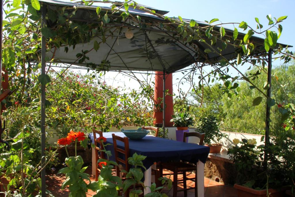 a table and chairs under an umbrella in a garden at Casa Terranova in Ustica