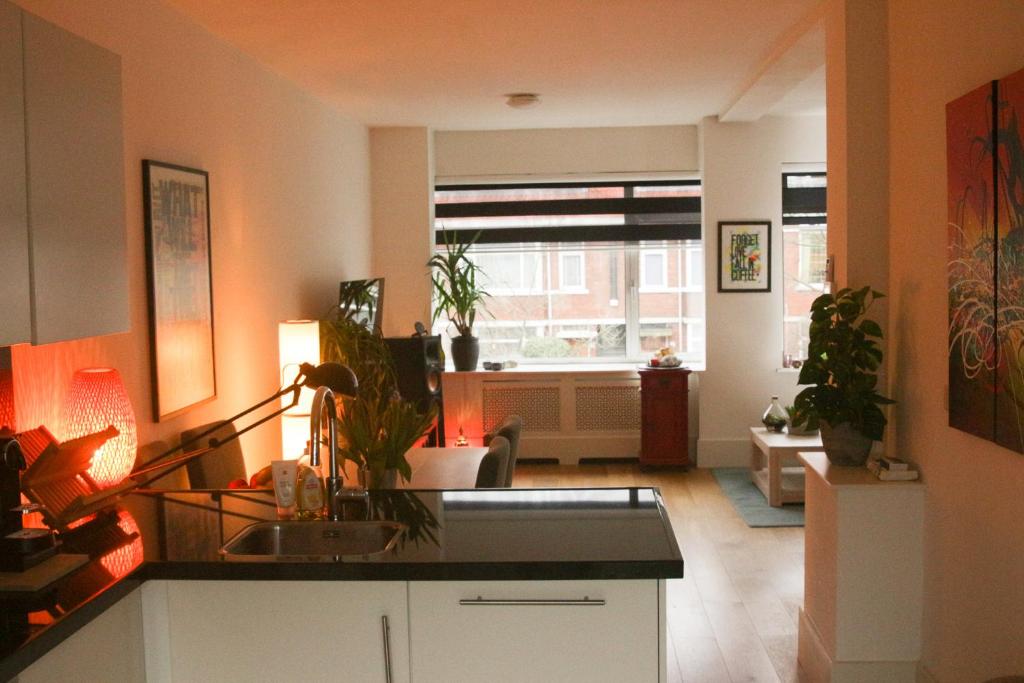 een keuken met een wastafel en een woonkamer bij Beautiful quiet family-apartment near The Hague in Rijswijk