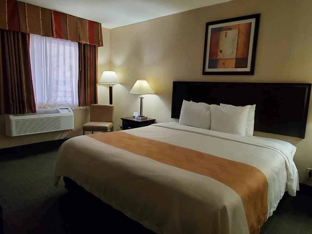 Quality Inn & Suites Anaheim at the Park - Standard Room, 1 King Bed, Non Smoking