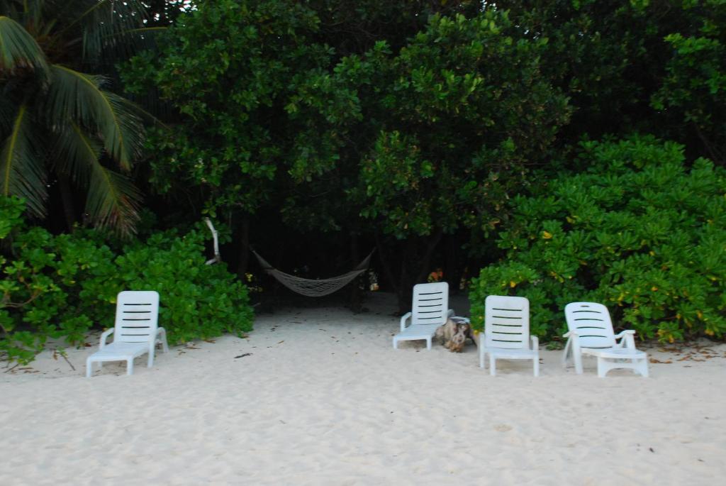 three chairs and a dog sitting in the sand at PRIV Fodhdhoo in Fodhdhoo