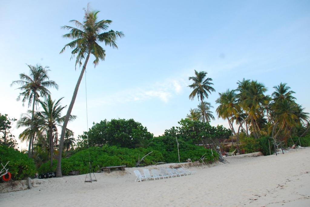 a beach with palm trees and white chairs on it at PRIV Fodhdhoo in Fodhdhoo