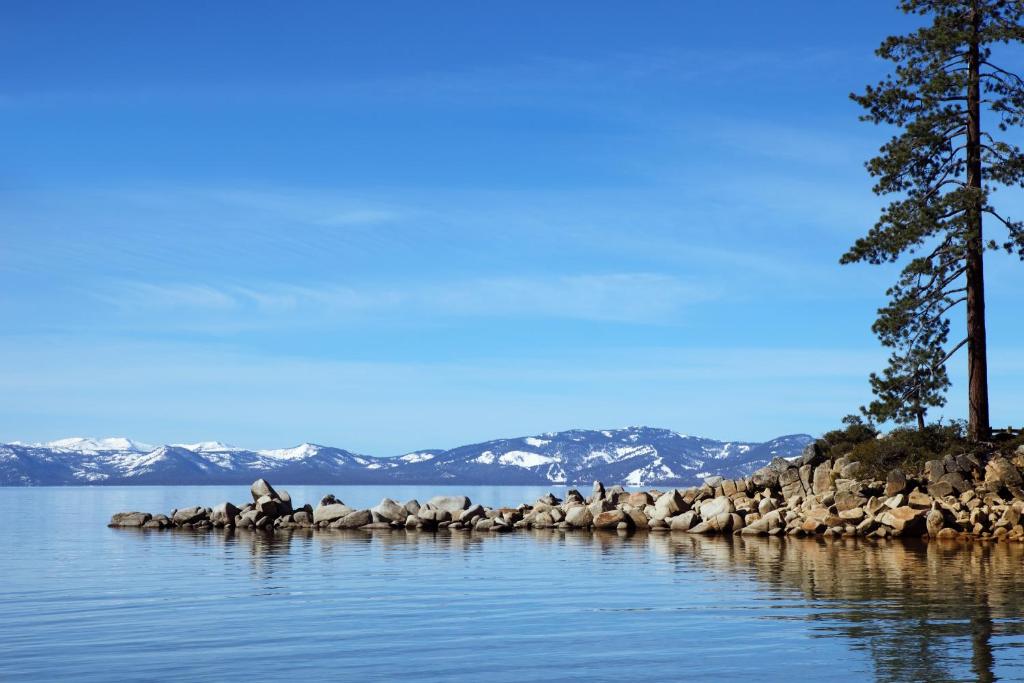 a group of birds sitting on a rock island in the water at Harrah's Lake Tahoe Hotel & Casino in Stateline
