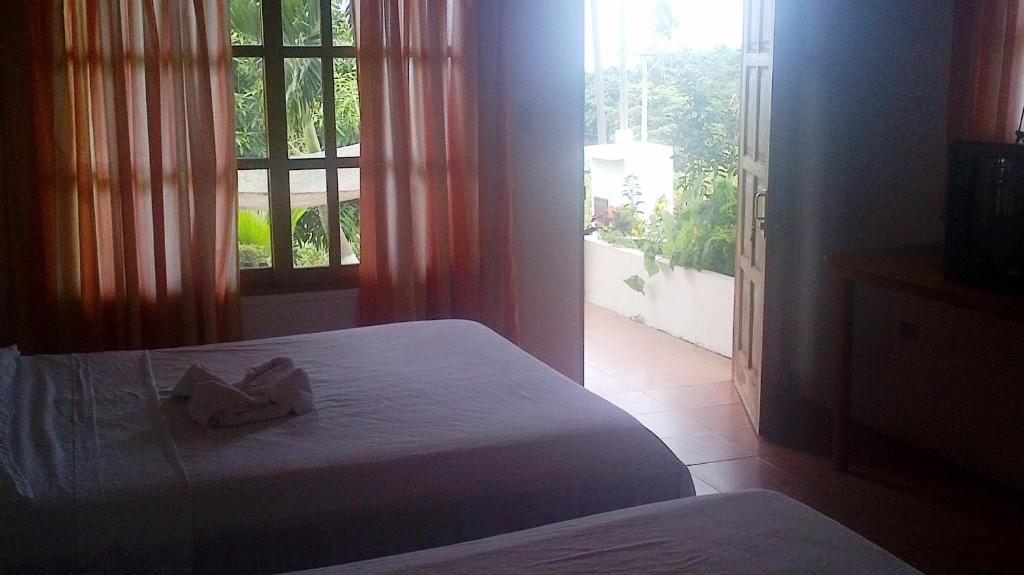 Gallery image of Hotel Three Monkeys in Montezuma