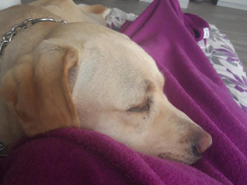 Apartamenty GUSTO Ostróda - 6