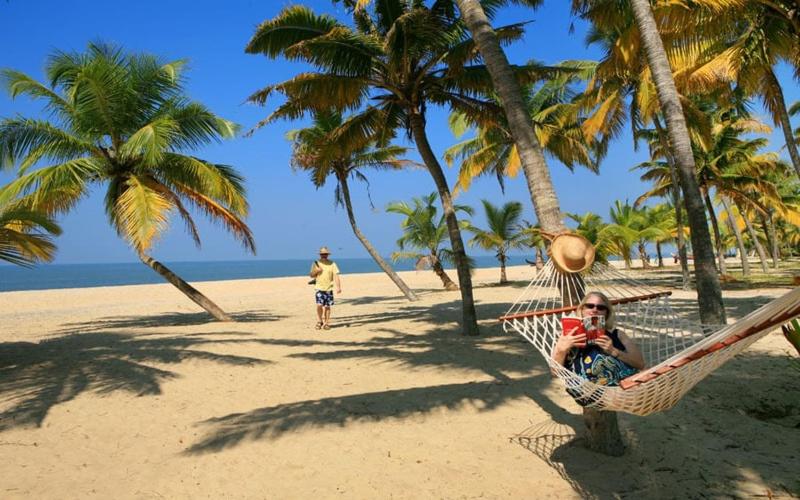 mężczyzna siedzący w hamaku na plaży z palmami w obiekcie Abad Turtle Beach w mieście Mararikulam