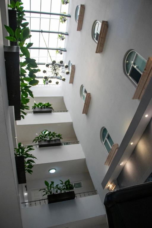 Fotografie z fotogalerie ubytování Hotel Qualitel Plus v destinaci Morelia