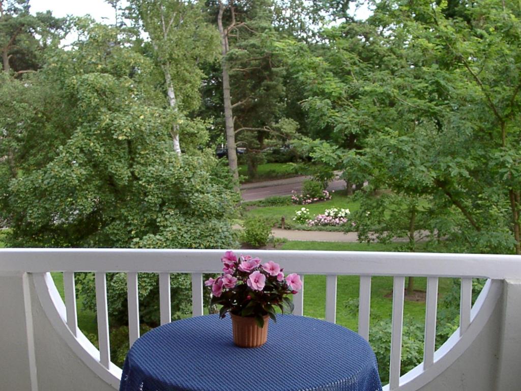 Zahrada ubytování Park-Hotel