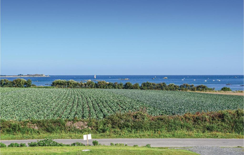 a large field of crops with the ocean in the background at Stunning Home In Kerbors With House Sea View in Kerbors