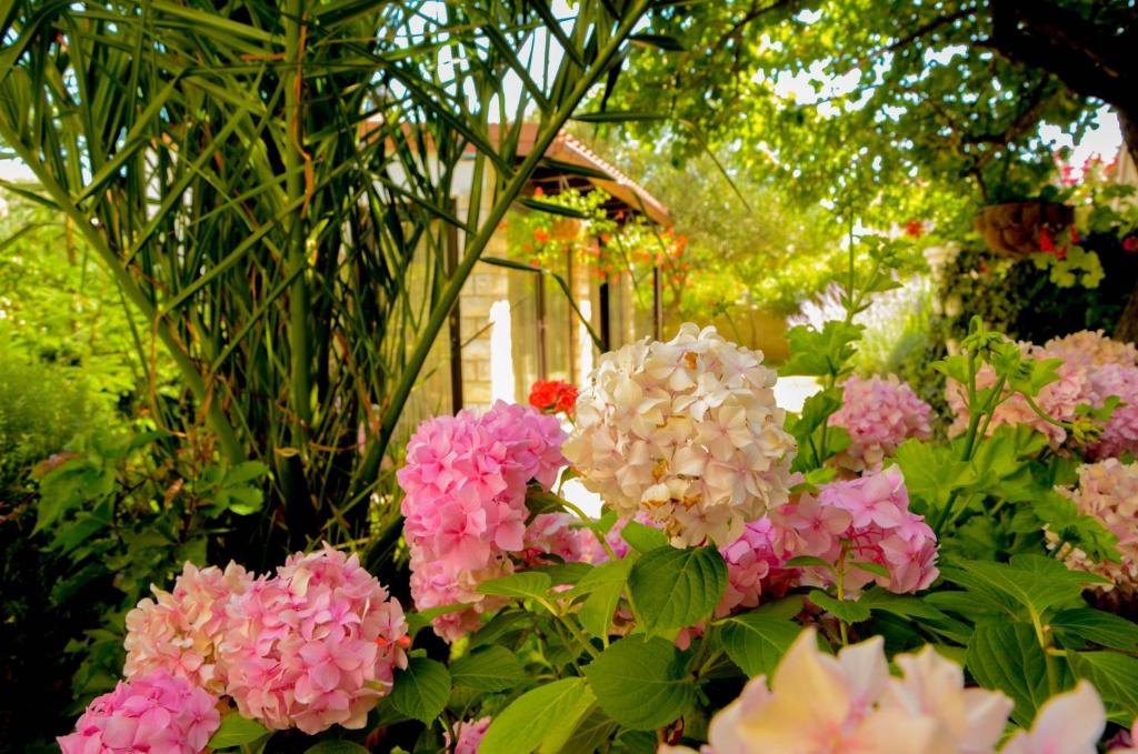 un montón de flores rosas y blancas en un jardín en Gulin Apartments, en Vodice