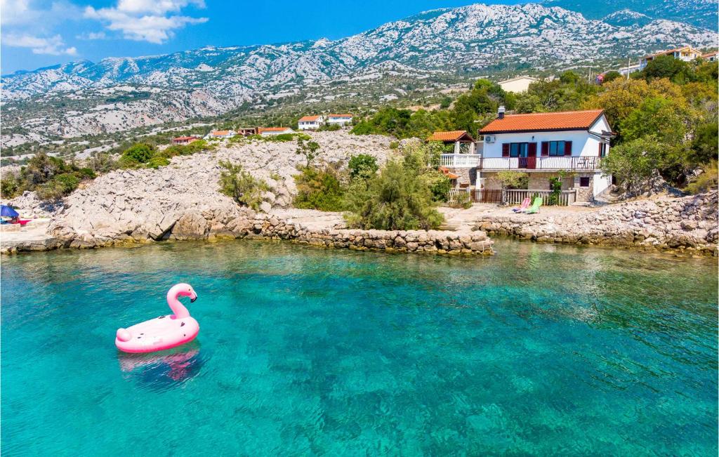 a pink swan in the water with a house at Beautiful Home In Prizna With Wifi in Prizna