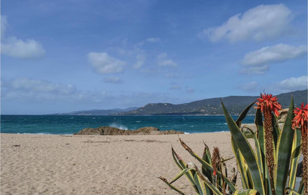 Platja de la casa o xalet o a prop