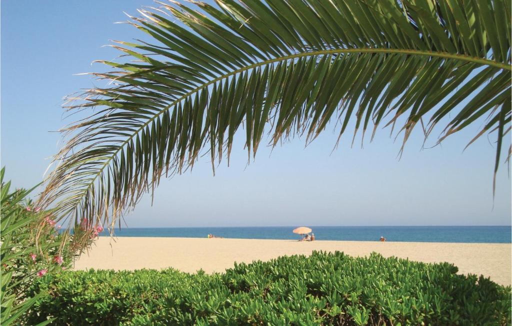 Plage dʼArgelès
