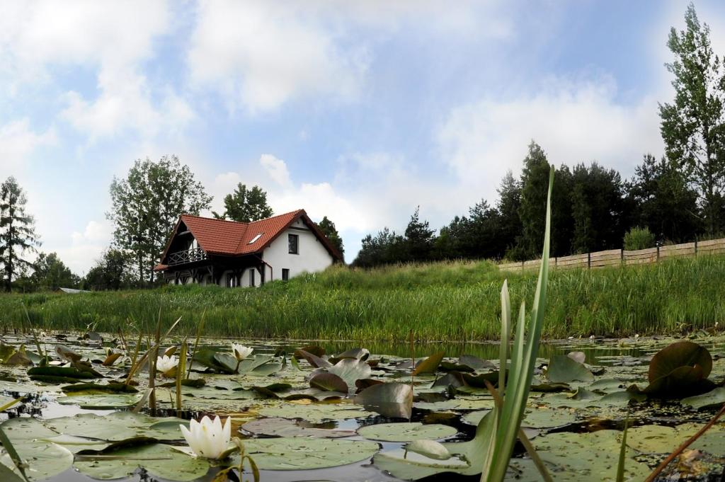 una casa en medio de un estanque con lirios en Malowane Wrota, en Łazy
