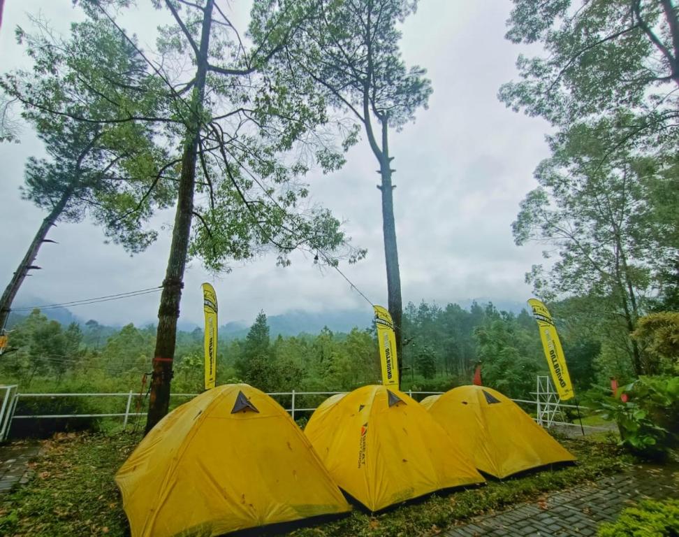 Pagupon Camp Syariah Batu Updated, Kali Camouflage Tent Twin Bed