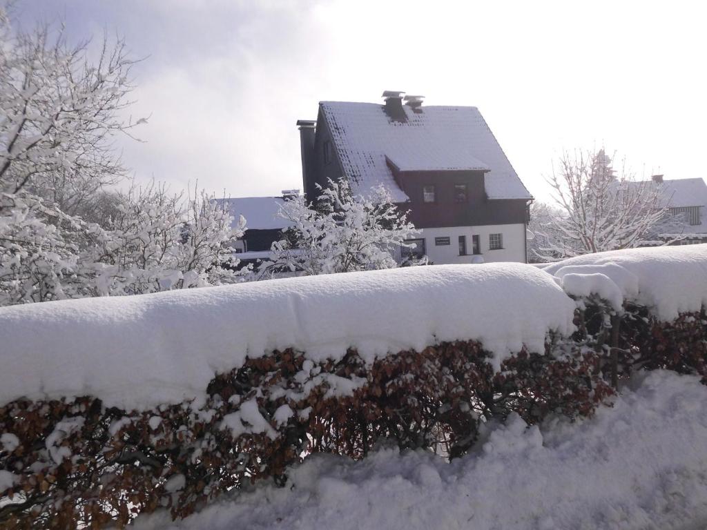 Apartment in Langewiese near Winterberg في وينتربرغ: ساحة مغطاة بالثلج مع منزل في الخلفية