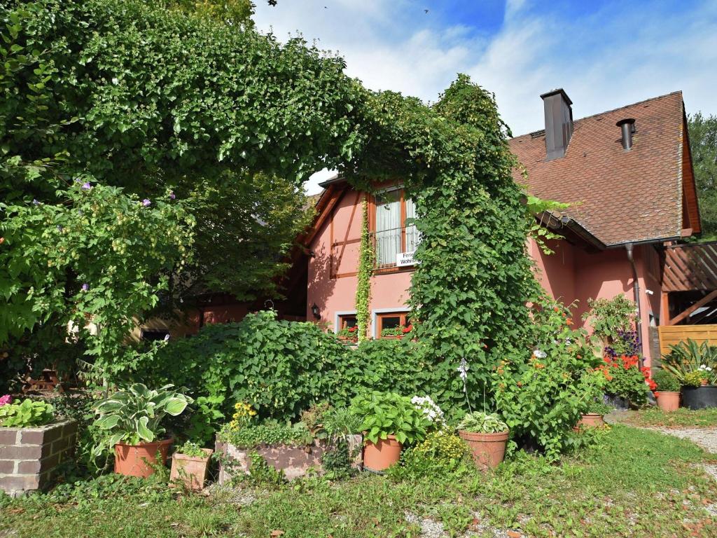 a house with a bunch of plants in front of it at Countryside apartment with garden in Schallstadt