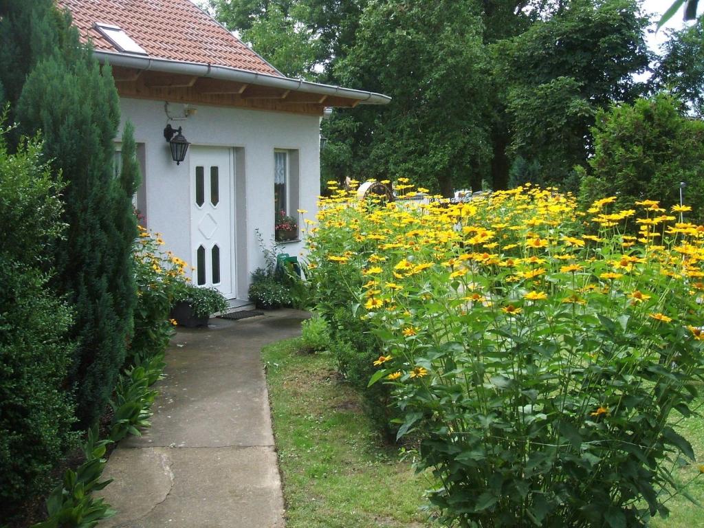 un jardín con flores amarillas frente a una casa en Spacious Holiday Home in Sommerfeld near Lake, en Kremmen