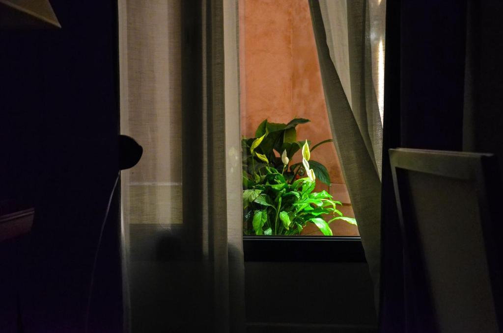 Aguilas5 SevillaSuites - 13