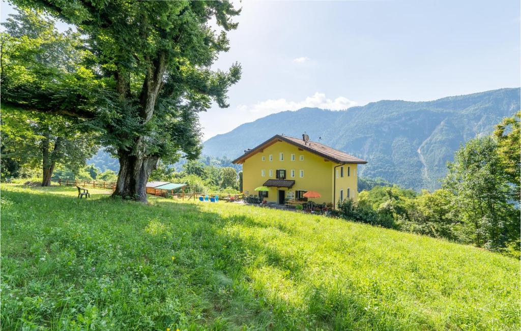 ein gelbes Haus auf einem Hügel mit einem Baum in der Unterkunft Maso Weiss in Bieno
