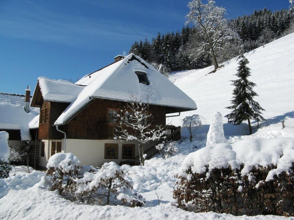 Beautiful farmhouse near the ski area v zimě