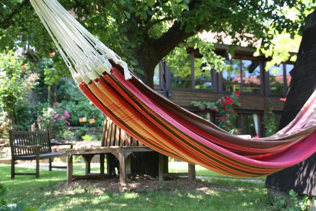 a hammock in a park next to a bench at Ferienwohnung Gartenreich in Obereisenheim