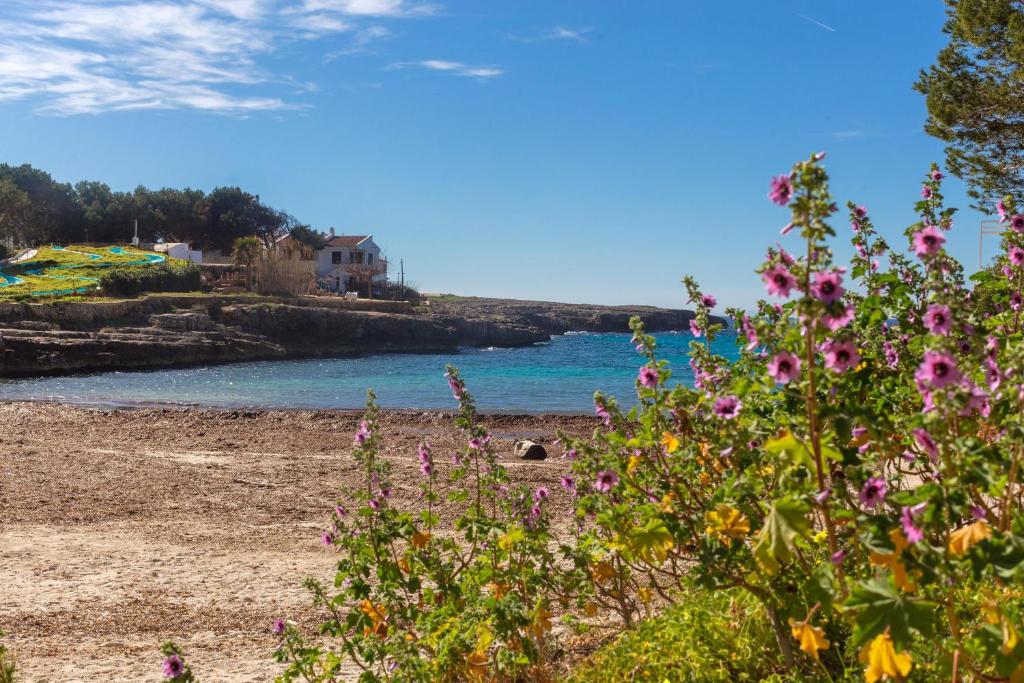 Arbocers, Ciutadella – Updated 2023 Prices