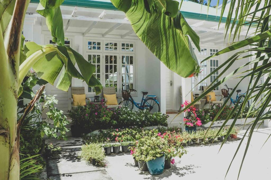 a garden with flowers and plants in pots at Fiyala Homestay in Feydhoo