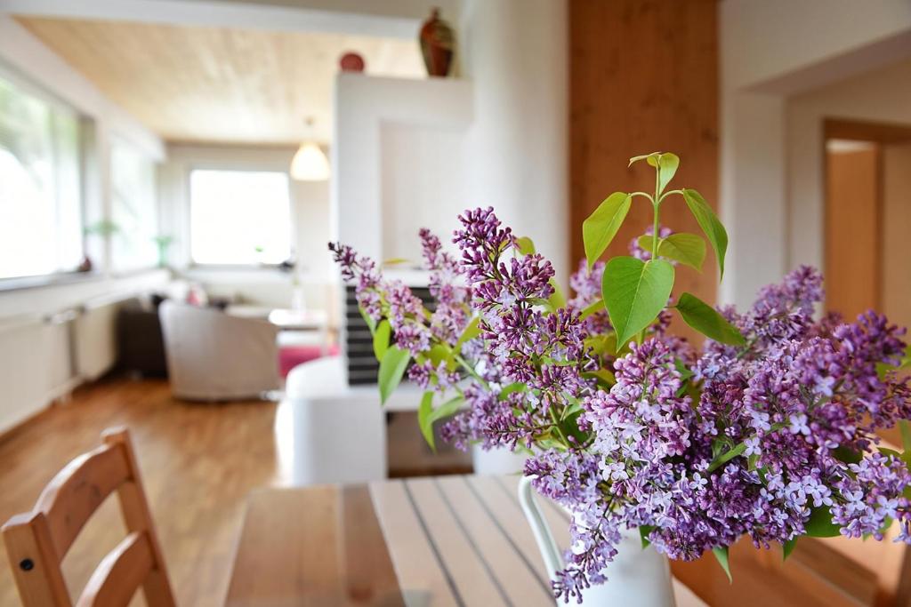 Fotografie z fotogalerie ubytování Borová Sihoť ATC and penzion v destinaci Liptovský Hrádok