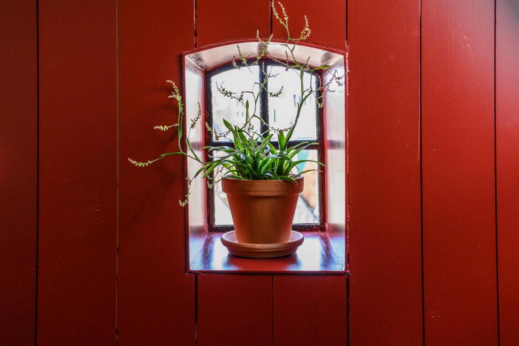 Fotografie z fotogalerie ubytování B&B Turfkade9 v destinaci Franeker