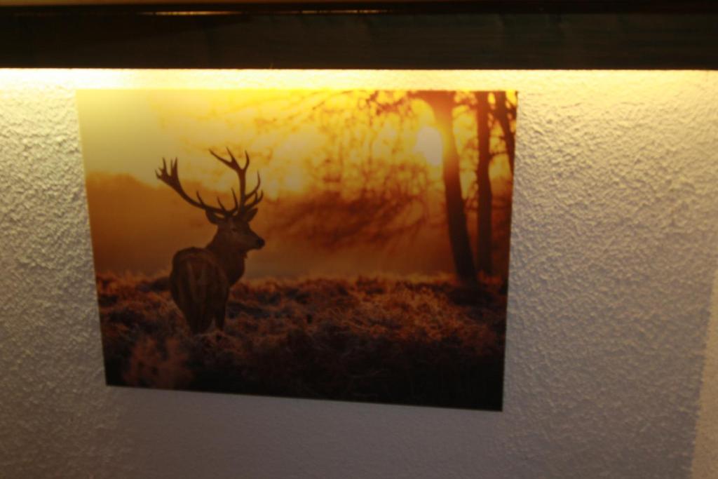 Fotografie z fotogalerie ubytování Hotel Zum Forst v destinaci Kranzberg