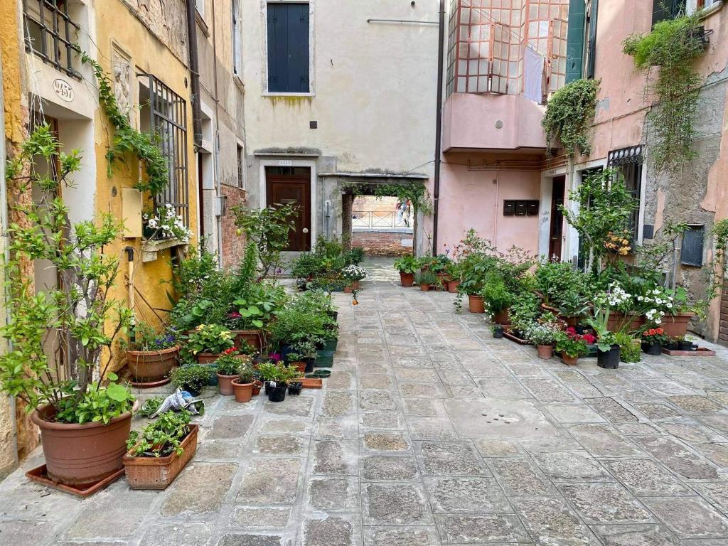 an alley with potted plants on the side of a building at CORTE TRAPOLIN in Venice