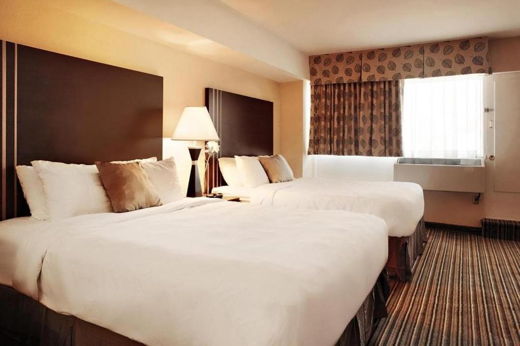 Comfort Suites Downtown - Resim 32