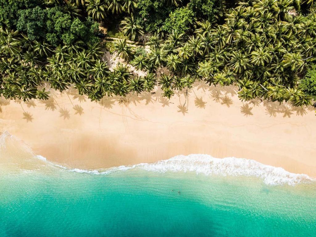 an overhead view of a beach with trees and the ocean at Sundy Praia Lodge in Santo António